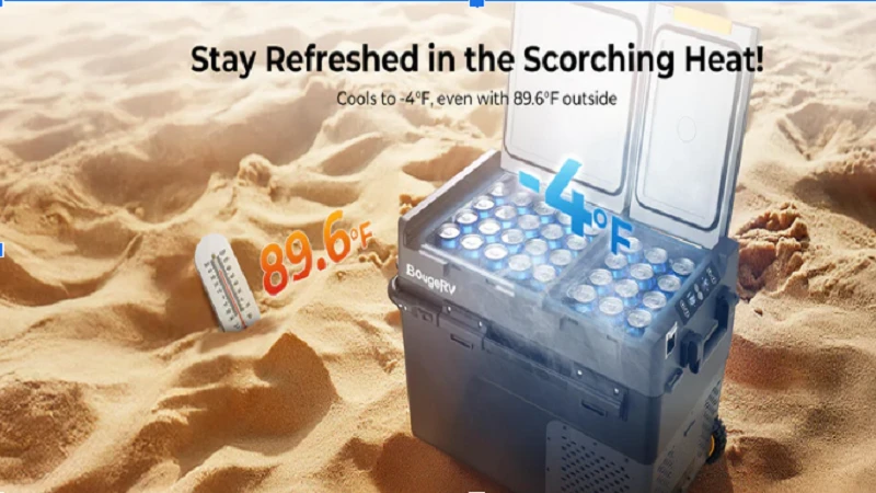Best Camping Fridge Picks