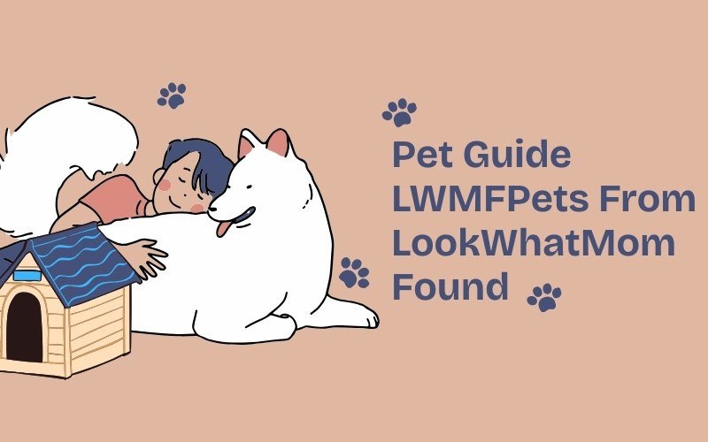 Pet Guide LWMFPets From LookWhatMomFound