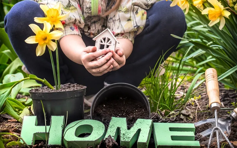 Home Decoradhouse Garden Tips by Decoratoradvice